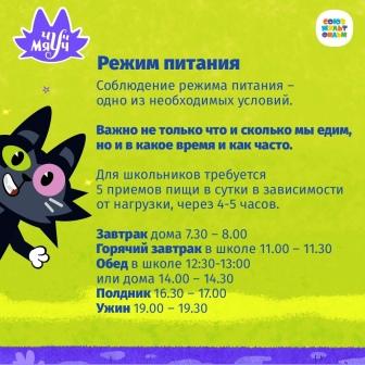 Режим питания