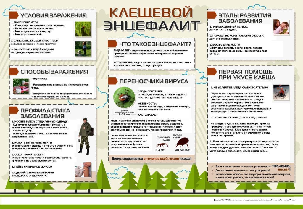 памятка клещевой энцефалит